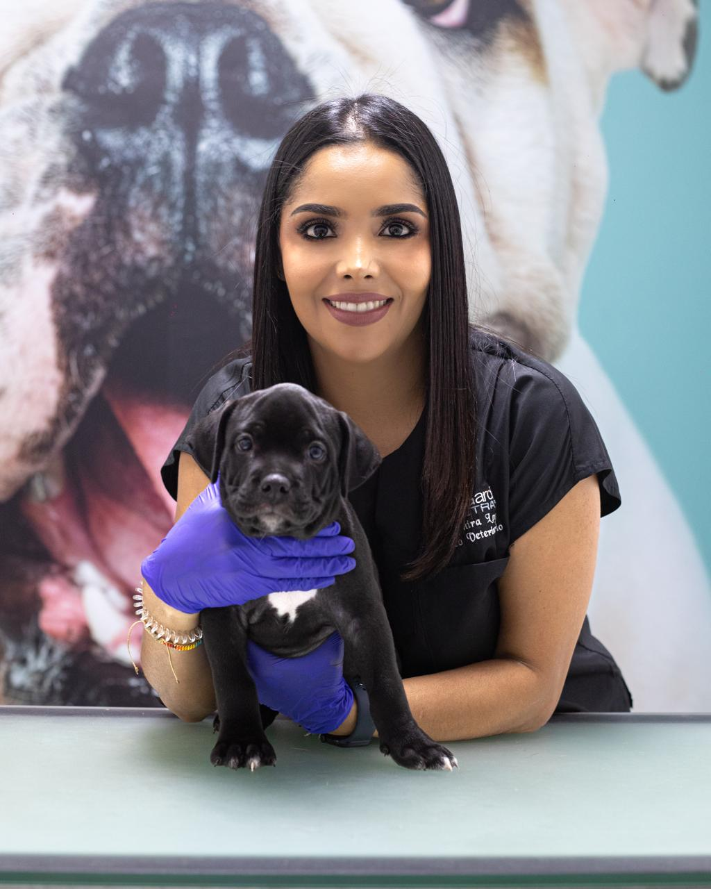 Vet Animal Health